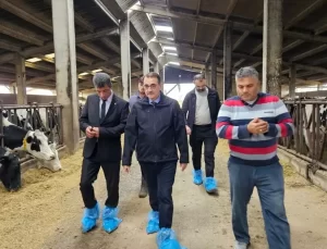 Fatih Dönmez’den Mezbahane Eleştirisi