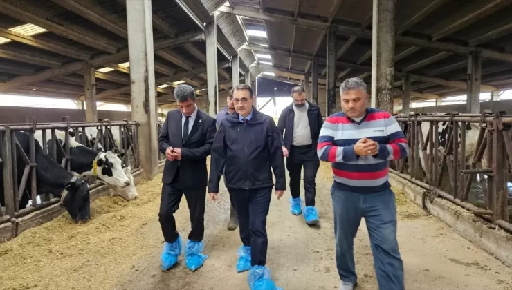 Fatih Dönmez’den Mezbahane Eleştirisi