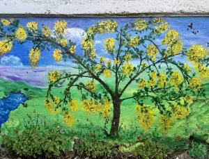 Fethiye’de Kuşaklar Arası Sanat Projesi