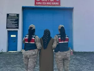 FETÖ Üyeleri Erzurum’da Yakalandı