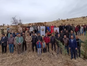 Fidan Dikim Etkinlikleri Türkiye Genelinde Yapıldı