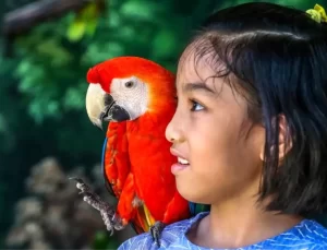 Filipinler’de Çocuk İşçi Sayısı Düştü