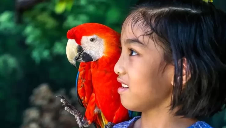 Filipinler’de Çocuk İşçi Sayısı Düştü