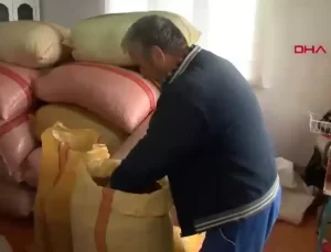 Fındık Üreticileri Fiyat Artışı Bekliyor