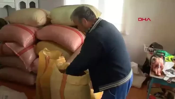 Fındık Üreticileri Fiyat Artışı Bekliyor