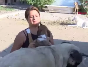 Foça’da Hayvan Barınağına Destek Çağrısı