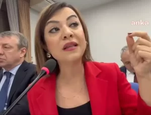 Gamze Taşcıer: “Kadını Günlük Beş Kuruş Ödenekle Güçlendireceklermiş.