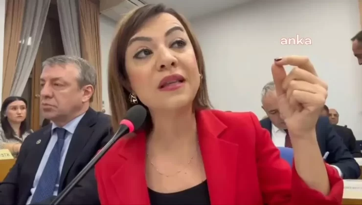 Gamze Taşcıer: “Kadını Günlük Beş Kuruş Ödenekle Güçlendireceklermiş.