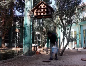 Gaziantep Hayvanat Bahçesi Kış Hazırlıklarına Başladı