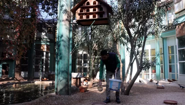Gaziantep Hayvanat Bahçesi Kış Hazırlıklarına Başladı