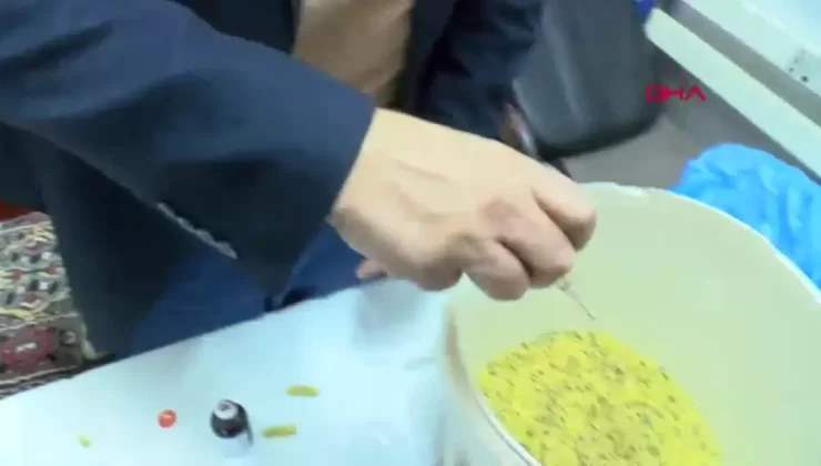 Gaziantep Hayvanat Bahçesi’nde Kış Hazırlıkları