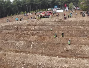 Gaziantep ve çevre illerde fidanlar toprakla buluşturuldu