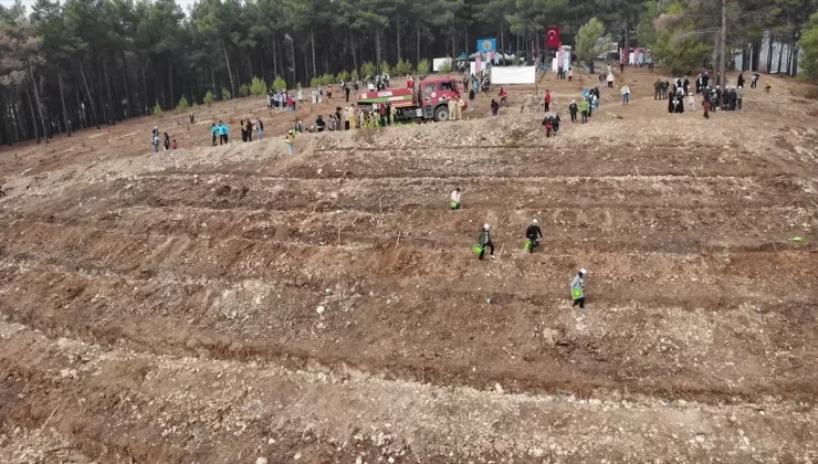 Gaziantep ve çevre illerde fidanlar toprakla buluşturuldu