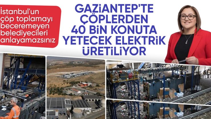 Gaziantep’te çöpten elektrik üreten tesisin sıcaklığı çilek serasını ısıtıyor