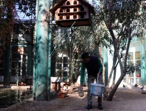 Gaziantep’teki Türkiye’nin en büyük hayvanat bahçesi kışa hazırlanıyor