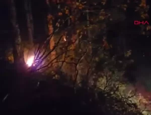Gazipaşa’da Orman Yangını