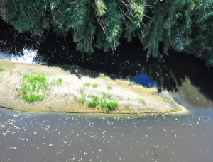 Gediz Nehri’nin Kirliliği İçin Acil Çözüm Çağrısı