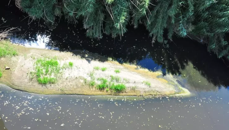 Gediz Nehri’nin Kirliliği İçin Acil Çözüm Çağrısı