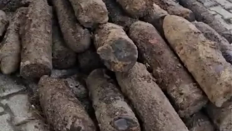 Gelibolu’da 50 Patlamamış Top Mermisi Bulundu