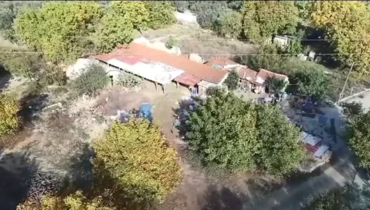 Gemlik’te Dronla Zeytin Hırsızlığına Önlem