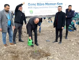 Genç Büro Memur-Sen Fidan Dikti