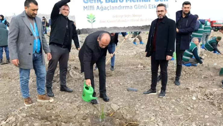 Genç Büro Memur-Sen Fidan Dikti