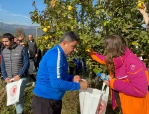 Gençlerle Ayva Hasadı Etkinliği