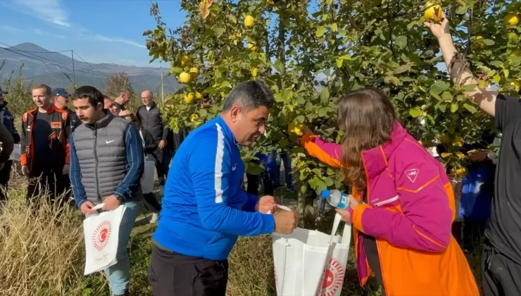 Gençlerle Ayva Hasadı Etkinliği