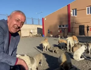 Göle Belediyesi Yeni Sokak Hayvanları Bakım Merkezi Açtı