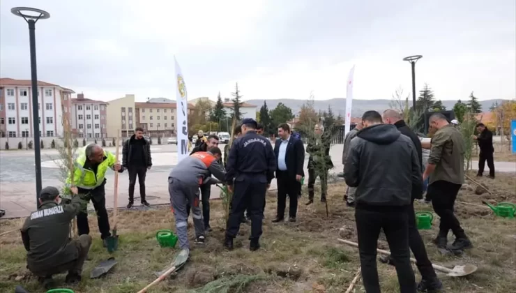 Güdül’de Ağaçlandırma Etkinliği