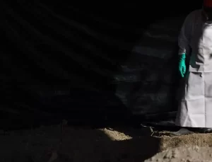 Guerrero’da 11 Ceset Bulundu