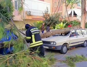 Gülnar’da Şiddetli Rüzgar Felaketi