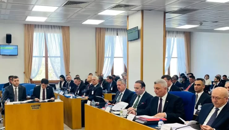 Gümrük Müşavirlerine Yeşil Pasaport Talebi