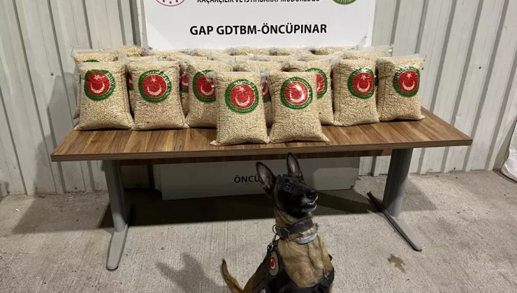 Gümrük Operasyonlarında Yasa Dışı Ürünler Ele Geçirildi