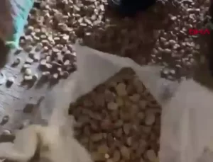 Gümrükte Dev Operasyon: Mikser ve Uyuşturucu Ele Ge geçirildi