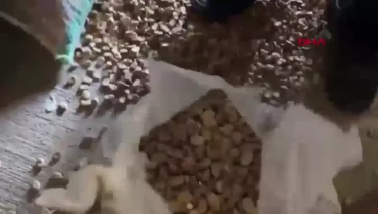 Gümrükte Dev Operasyon: Mikser ve Uyuşturucu Ele Ge geçirildi