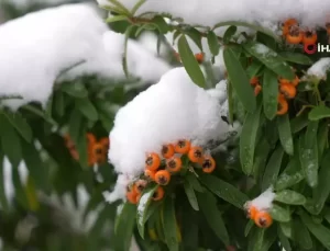 Gümüşhane’de İlk Kar Yağışı Şehir Merkezini Beyaza Bürüdü