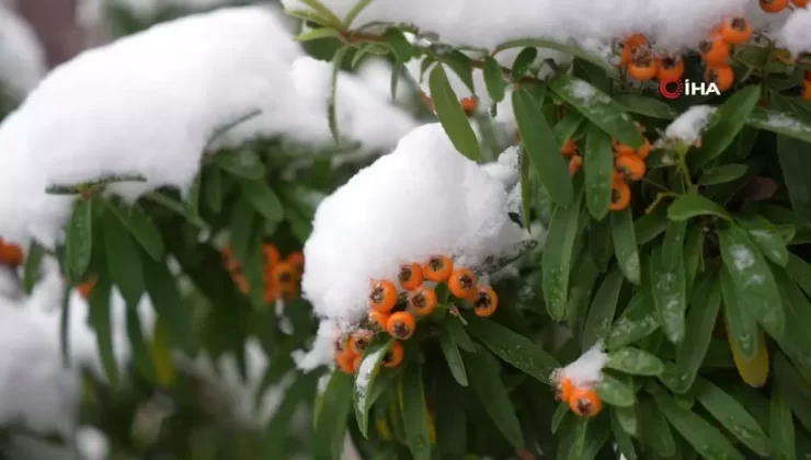 Gümüşhane’de İlk Kar Yağışı Şehir Merkezini Beyaza Bürüdü