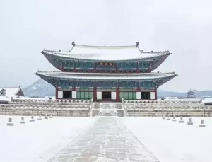 Güney Kore’de Kar Fırtınası: 2 Kişi Hayatını Kaybetti