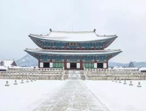 Güney Kore’de kar fırtınası: 2 ölü