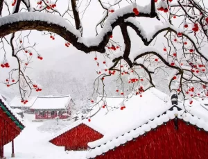Güney Kore’de kış aylarında en çok ziyaret edilen bölgeler