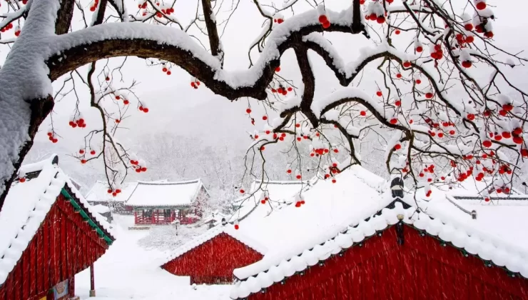 Güney Kore’de kış aylarında en çok ziyaret edilen bölgeler