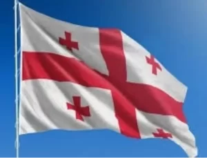 Gürcistan’da Cumhurbaşkanlığı Seçimi 14 Aralık’ta Yapılacak