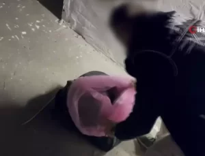 Güvercin Yuvasında Uyuşturucu Yakalandı