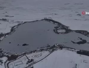 Hafik Gölü’nde Buz ve Kuş Şöleni