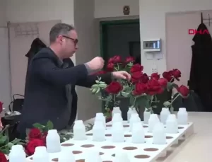 Hamsi Atıklarıyla Çevre Dostu Organik Gübre Geliştirildi