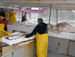 Hamsi Avı Bereketli Geçti