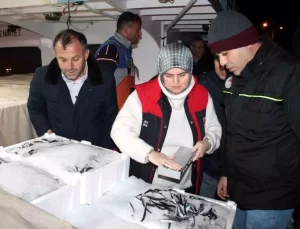 Hamsi Denetimleri Akçakoca’da Gerçekleşti