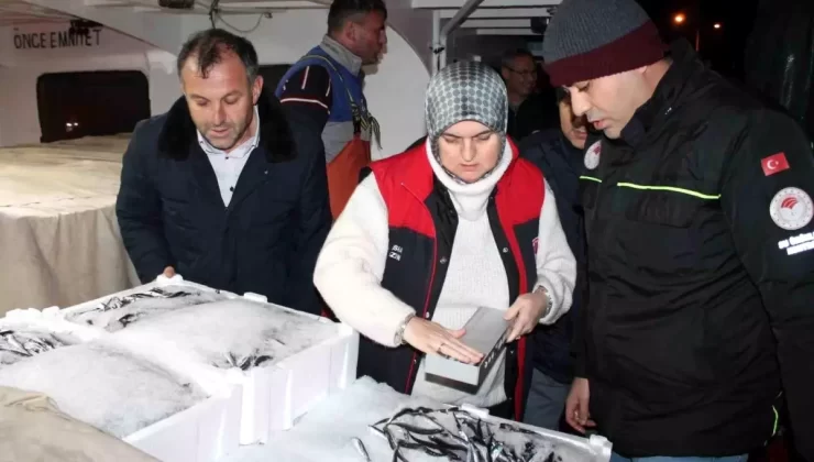 Hamsi Denetimleri Akçakoca’da Gerçekleşti