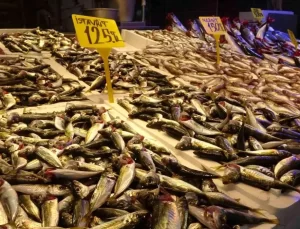 Hamsi Fiyatları İki Katına Çıktı